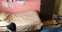 Casa Económica Sin Ampliaciones Ideal Subsidio // Párroco Juan Díaz Bustos // Isabel Riquelme 1 // Lampa