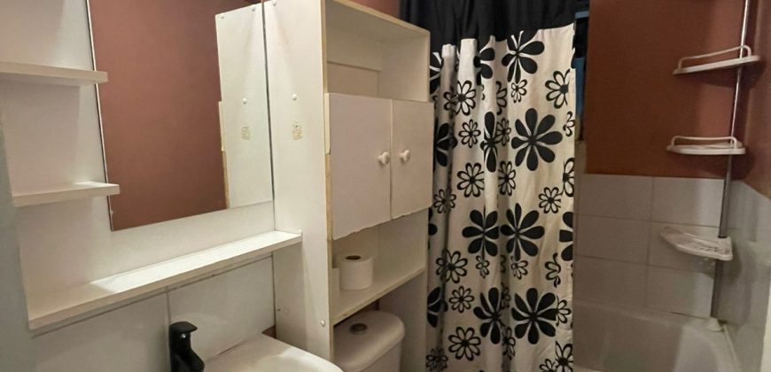Venta de Propiedad Ubicada en el Sector Luis Durand, Comuna de Lampa.