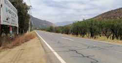 GRAN TERRENO EN ZONA RURAL CHICAUMA