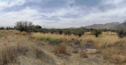 GRAN TERRENO EN ZONA RURAL CHICAUMA