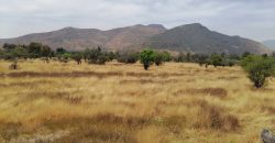 GRAN TERRENO EN ZONA RURAL CHICAUMA