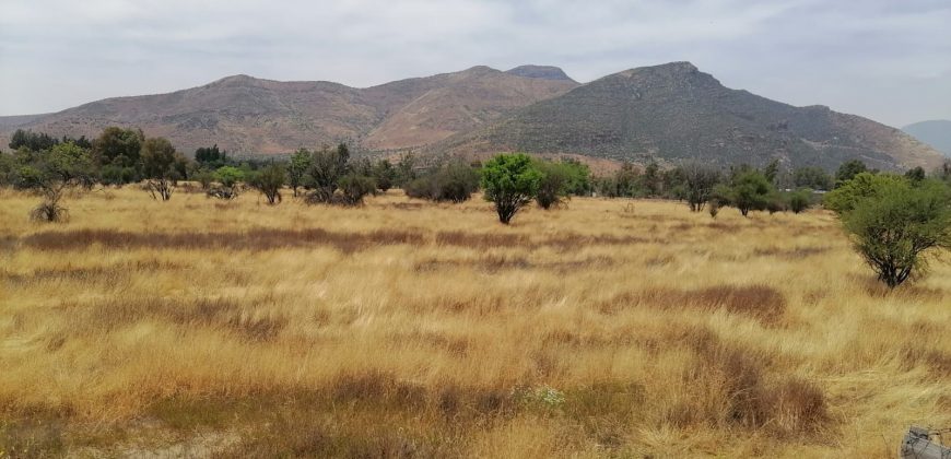 GRAN TERRENO EN ZONA RURAL CHICAUMA