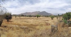 GRAN TERRENO EN ZONA RURAL CHICAUMA