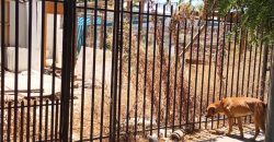 ARRIENDO TERRENO EXCELENTE PARA COMERCIO, LAMPA