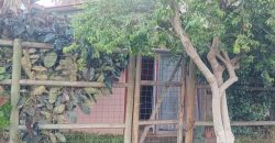 Propiedad a la Venta en Pasaje Rafael Sotomayor Comuna de Lampa.