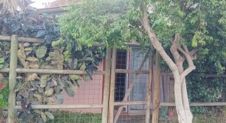 Propiedad a la Venta en Pasaje Rafael Sotomayor Comuna de Lampa.