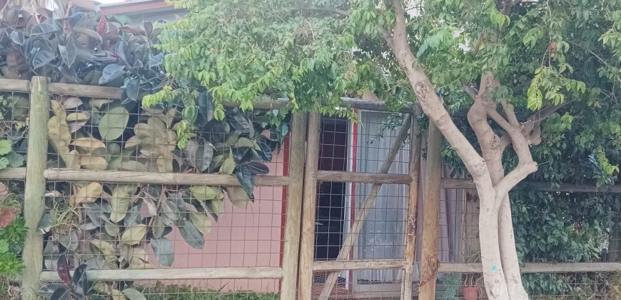 Propiedad a la Venta en Pasaje Rafael Sotomayor Comuna de Lampa.