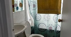 Bella Casa Comercial en Pasaje El Clavel Poniente Larapinta 1ra etapa