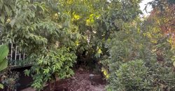 GRAN VENTA EN CAMINO DEL CAMPO ¡NO TE LO PIERDAS, PODRÍA SER TUYA!