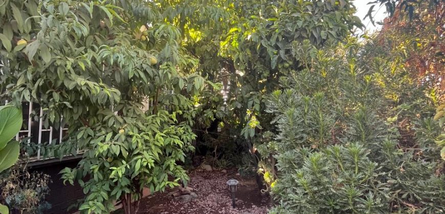 GRAN VENTA EN CAMINO DEL CAMPO ¡NO TE LO PIERDAS, PODRÍA SER TUYA!