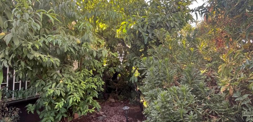 GRAN VENTA EN CAMINO DEL CAMPO ¡NO TE LO PIERDAS, PODRÍA SER TUYA!