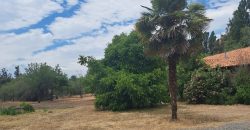 Parcela de 7.000 mt2 a la Venta en Lo Vargas Lampa