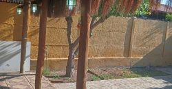Propiedad En Arriendo Los Tulipanes, Larapinta