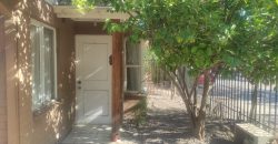 Arriendo de Propiedad en Pasaje Los Lirios, Larapinta.