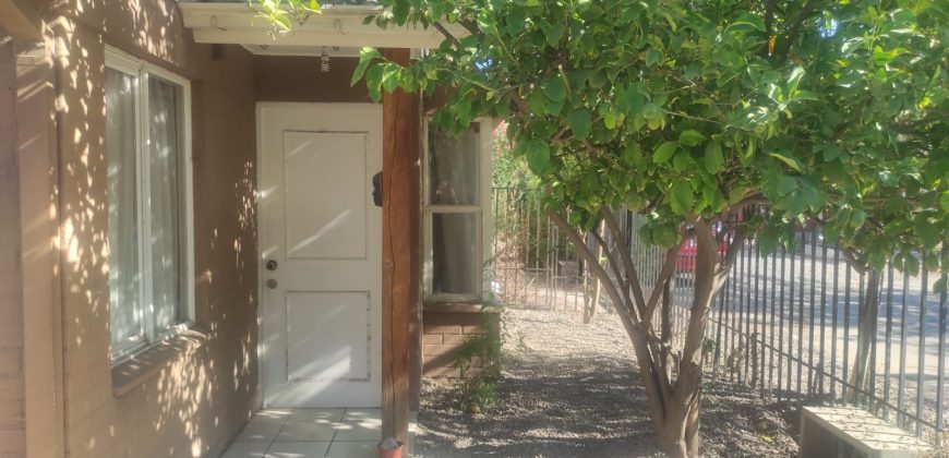 Arriendo de Propiedad en Pasaje Los Lirios, Larapinta.